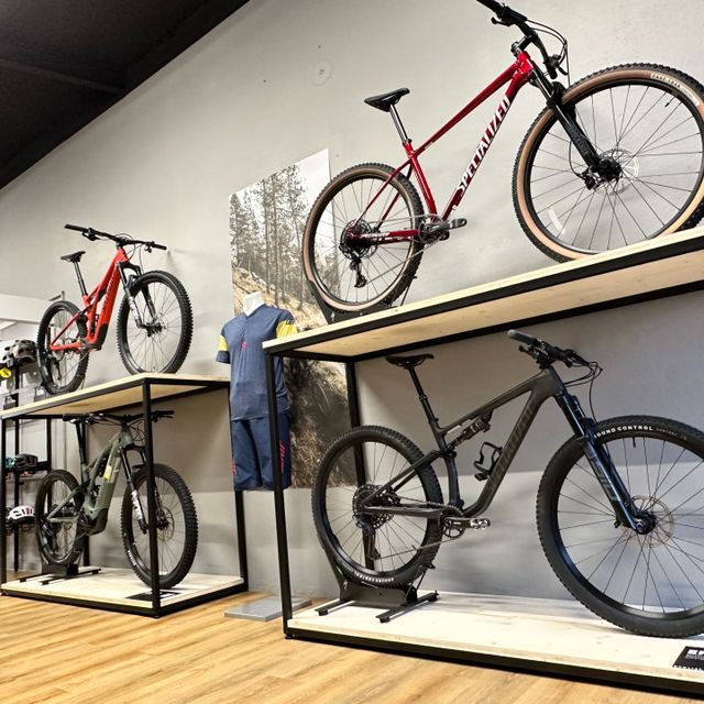 Tous les types de vélos